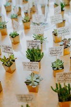 Load image into Gallery viewer, Succulent and Calligraphy Place Cards
