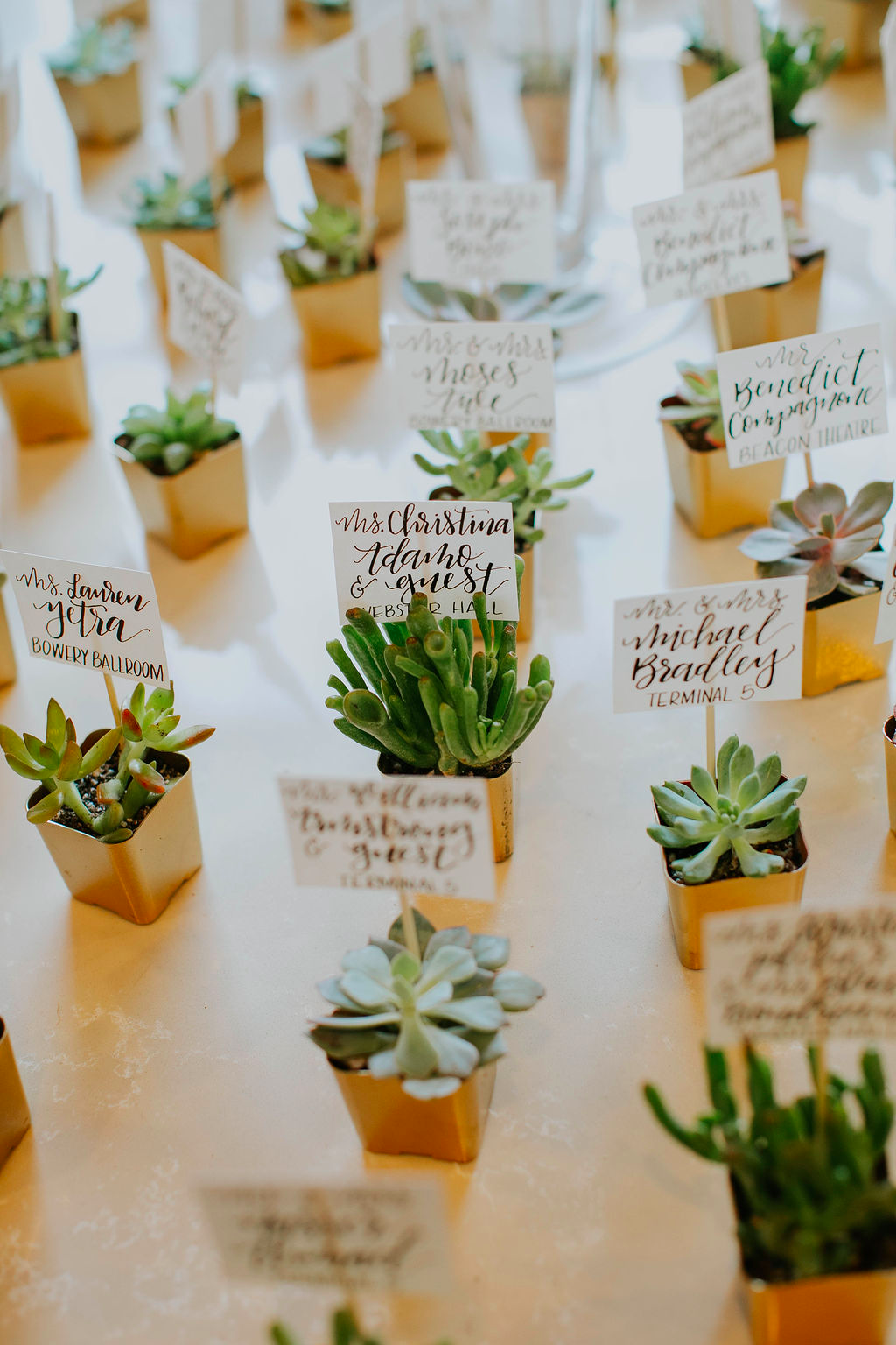 succulent escort cards Succulent and Calligraphy Place Cards – thelocallinenj